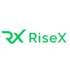 RISEX.net - обзор,мнение и отзывы пользователей