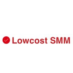 Lowcost SMM - обзор,мнение и отзывы пользователей