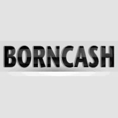 BornCash.com - обзор,мнение и отзывы пользователей